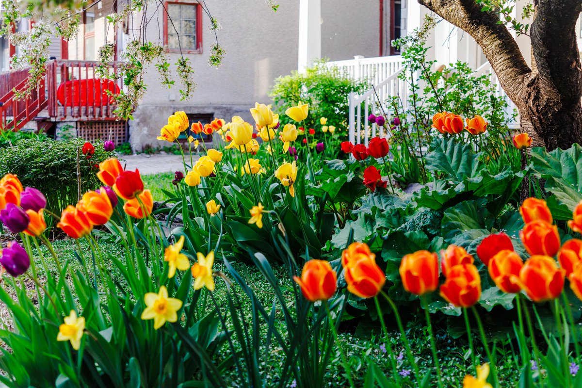 Derrick tweet media