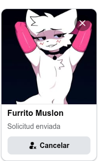 Si te sigo eres furry y gay tweet media