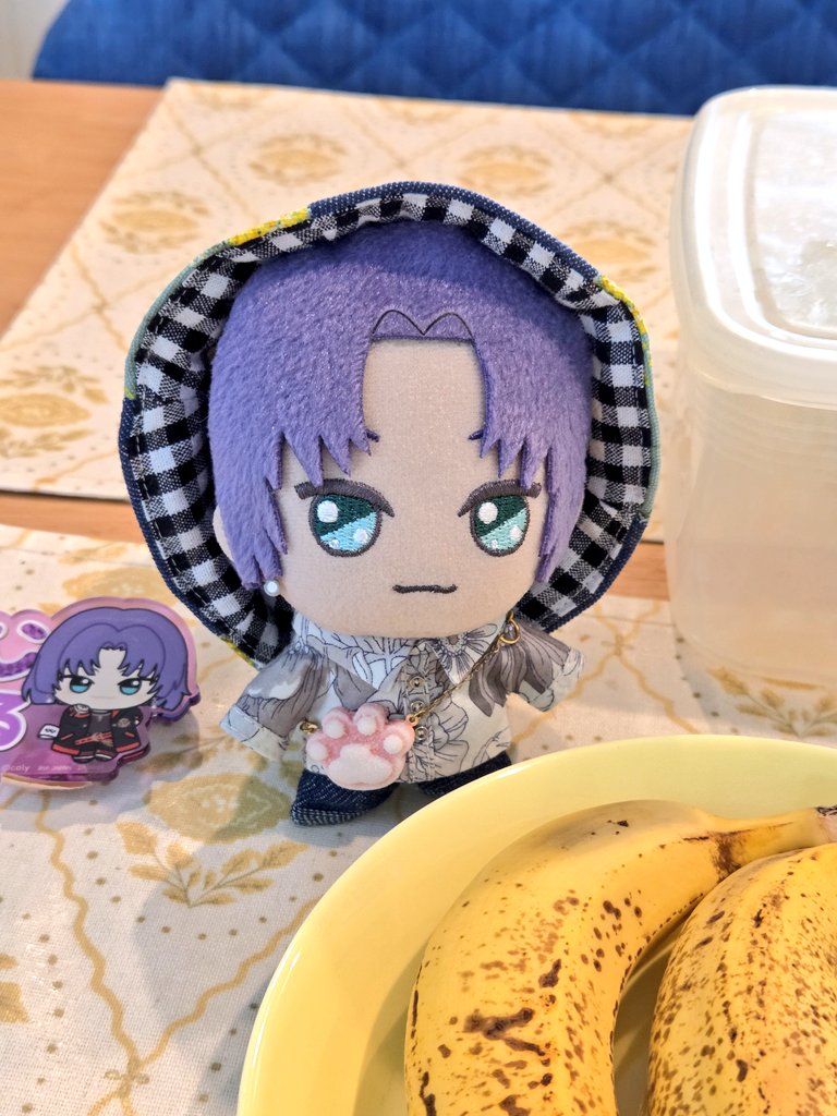 きょん🕰双極性障害とぬい写真🧸 tweet media