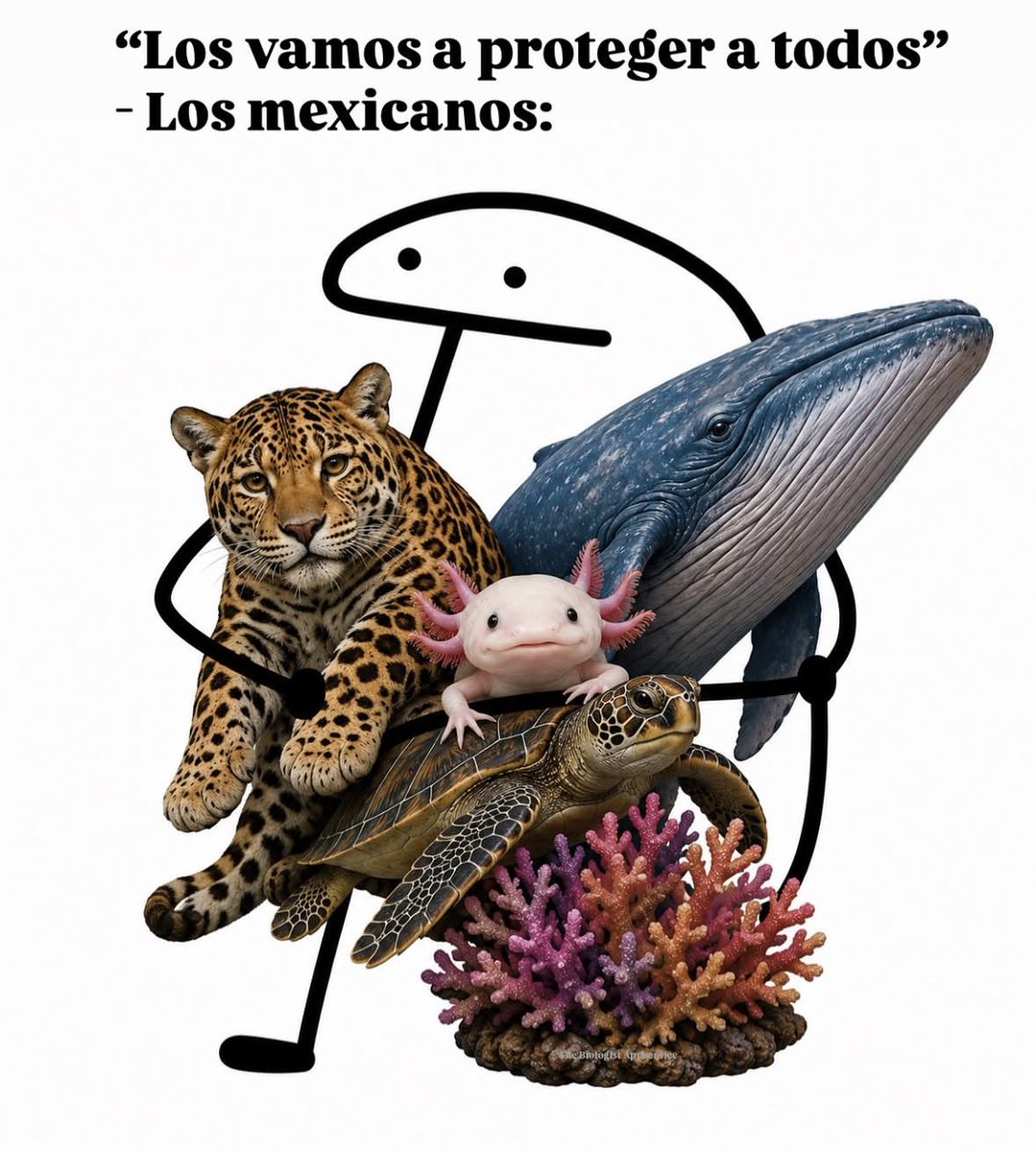 Mujer que toma café tweet media