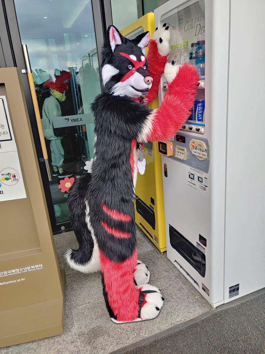 츠미키 tweet media