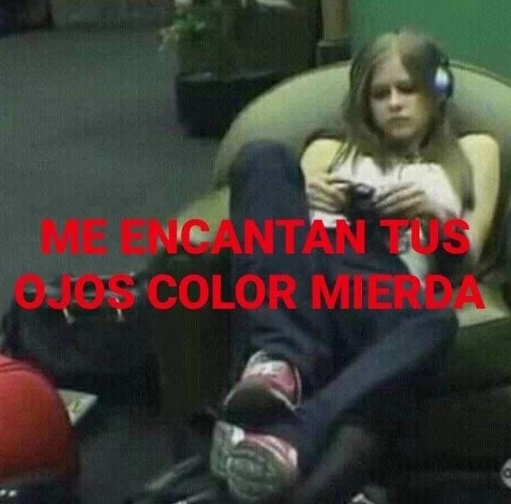cherrybl0od tweet media