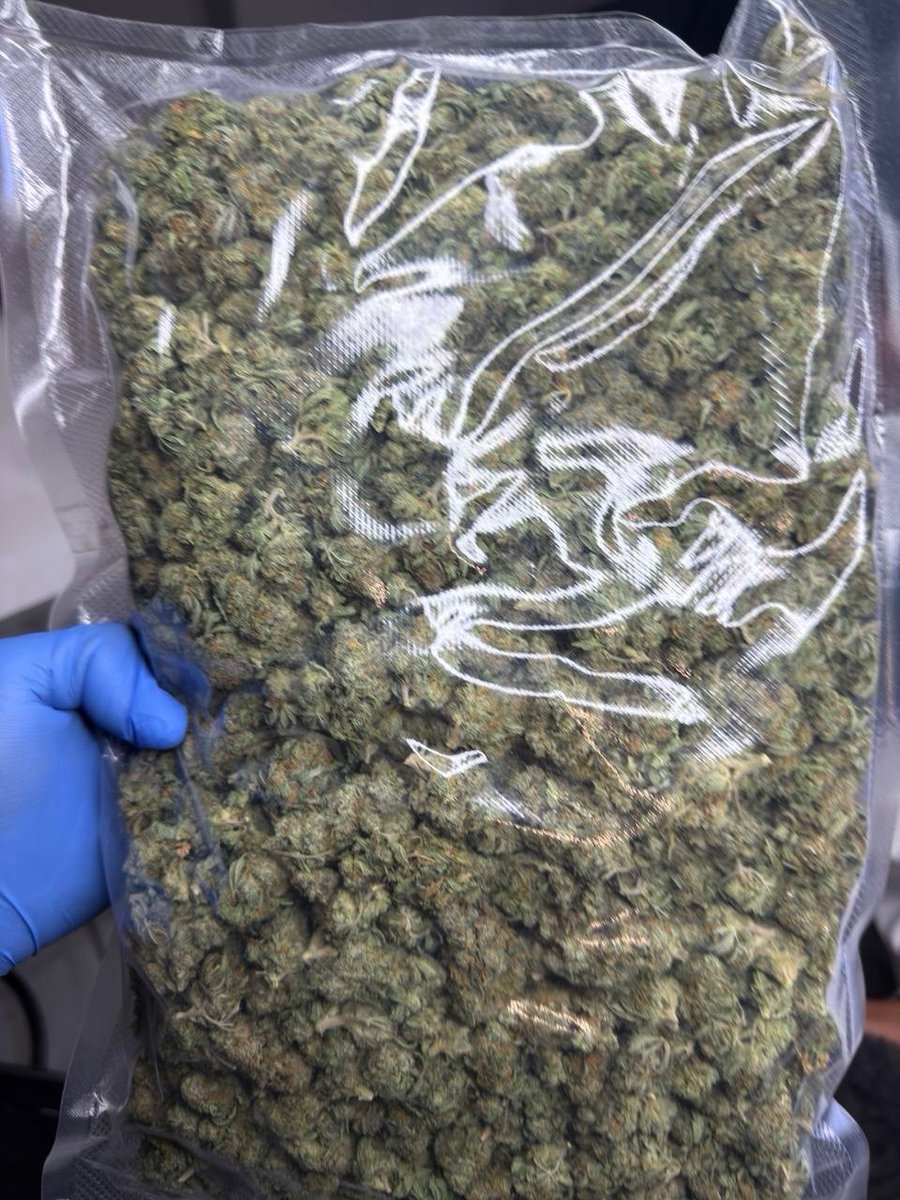 sincity seeds tweet media