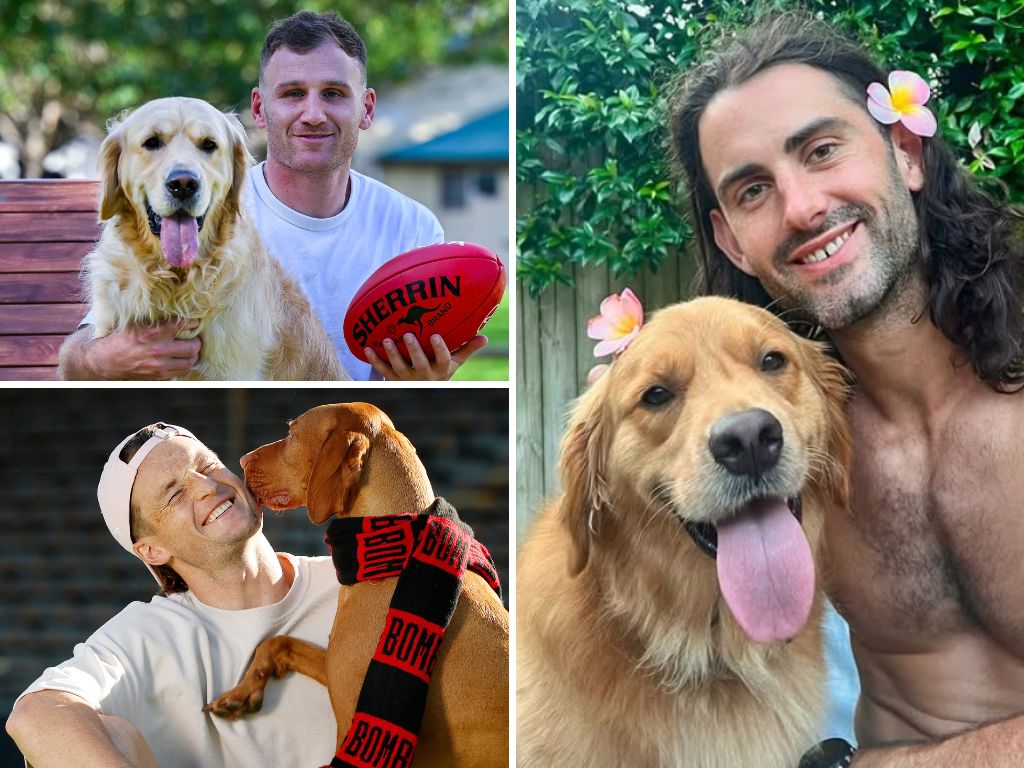 SuperFooty (AFL) tweet media