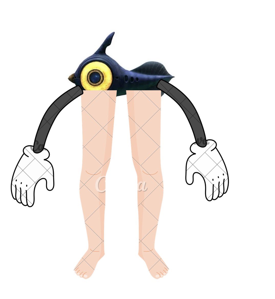 Peeper tweet media