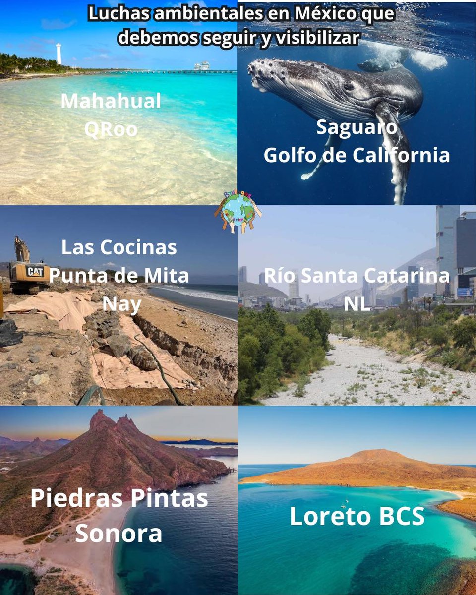 Kokito ‼️SUPPORT MEXICO‼️ ૮₍ •\./• ₎ა tweet media
