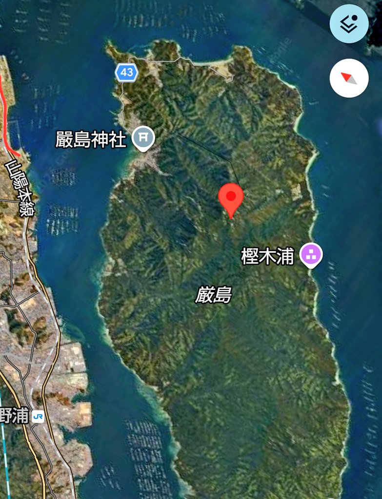広島人 tweet media