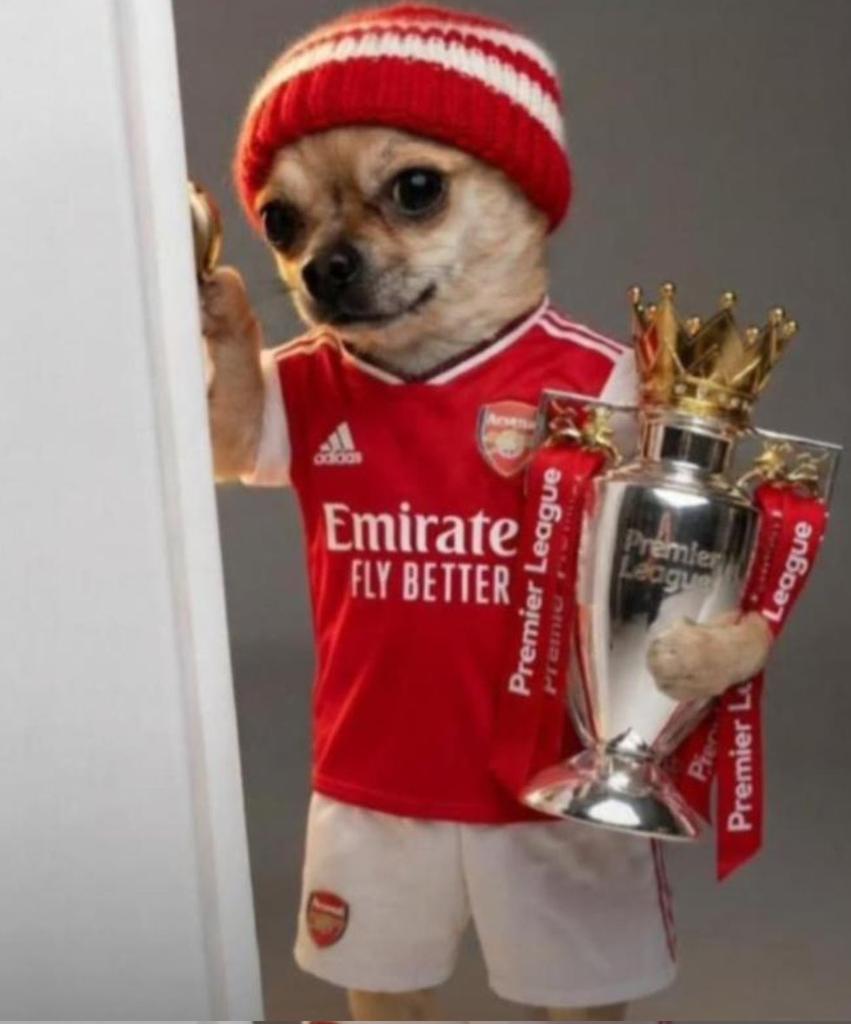 R_ICON_Megaddog's tweet photo. @CarefreeJonty No one gives a fck about your congratulations. Fck you and your family of haters https://t.co/HxSEh7yB5i