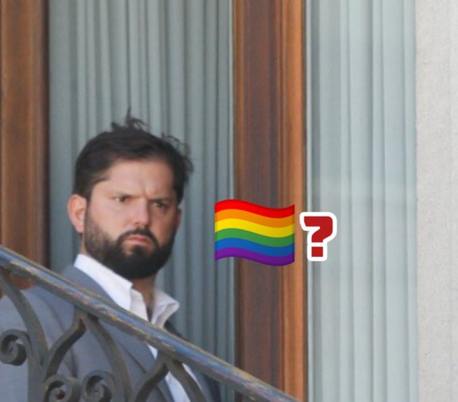 NotMilo 🦉 tweet media
