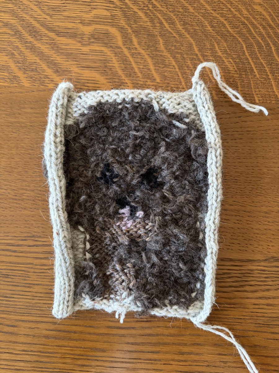 knit_e's tweet photo. フリンジ状態からの｡｡｡｡
↓
糸始末終了
↓
スチーム終了
↓
モコちゃん登場😍

カーディガンには全部で5匹います🐶これはもう修行です。

現在ライトグレーのベースカラーでキットを販売中です。シックな仕上がりをご希望の方はこの機会にぜひ☺️
↓
https://t.co/nbECApVGNw https://t.co/AeijmXXq61