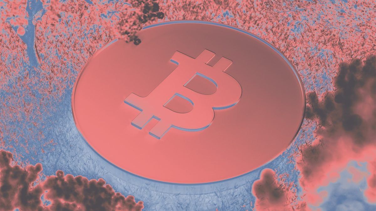 HighScoreCrypto tweet media