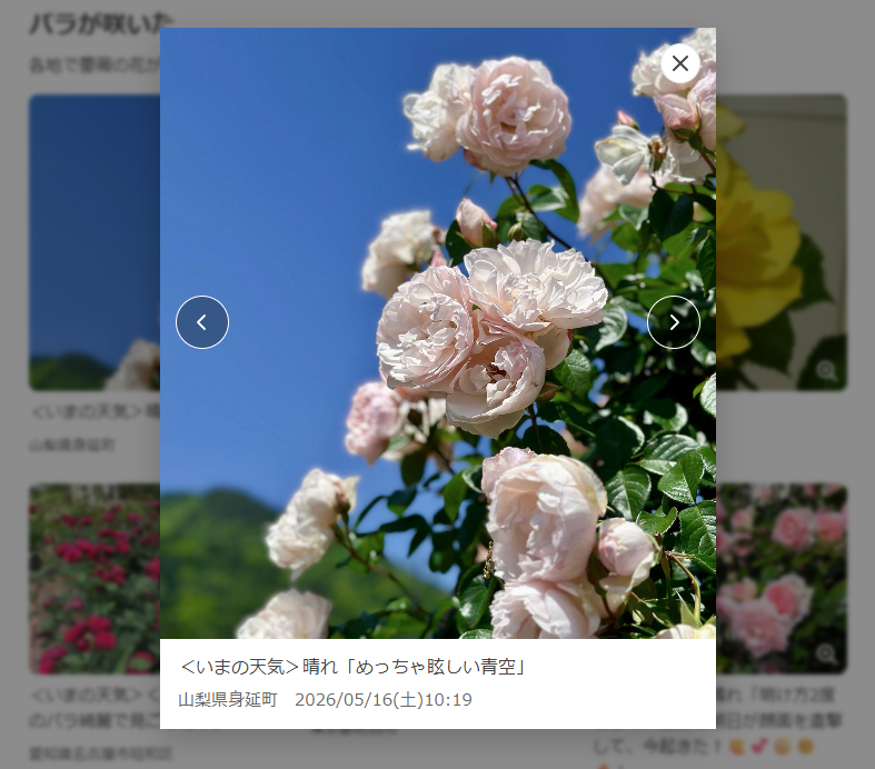 Yahoo!天気・災害(ヤフー天気)🌤 tweet media