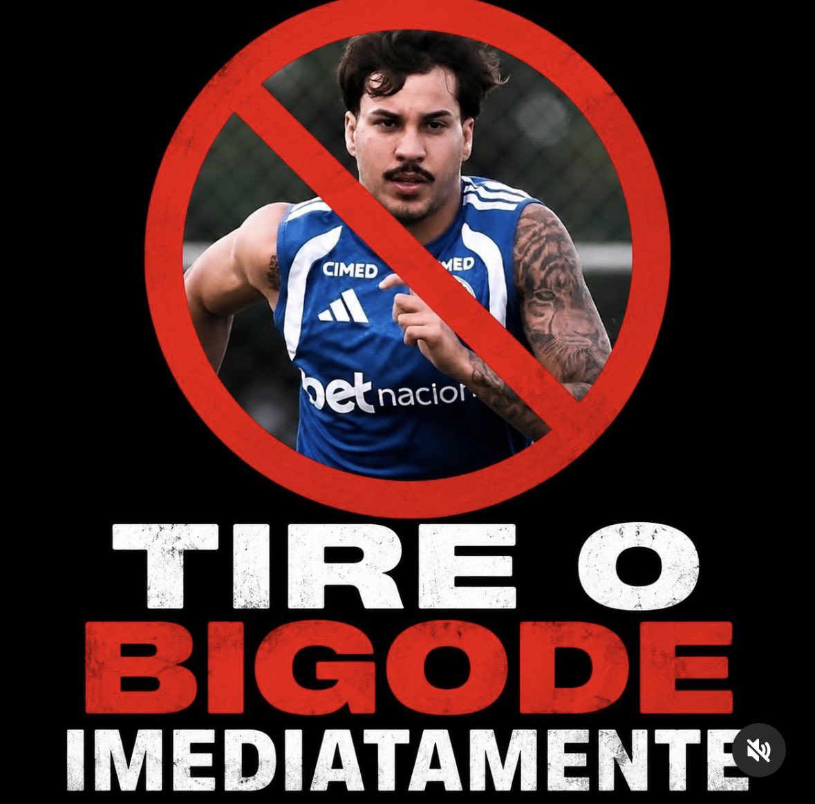 SAZEIRO tweet media
