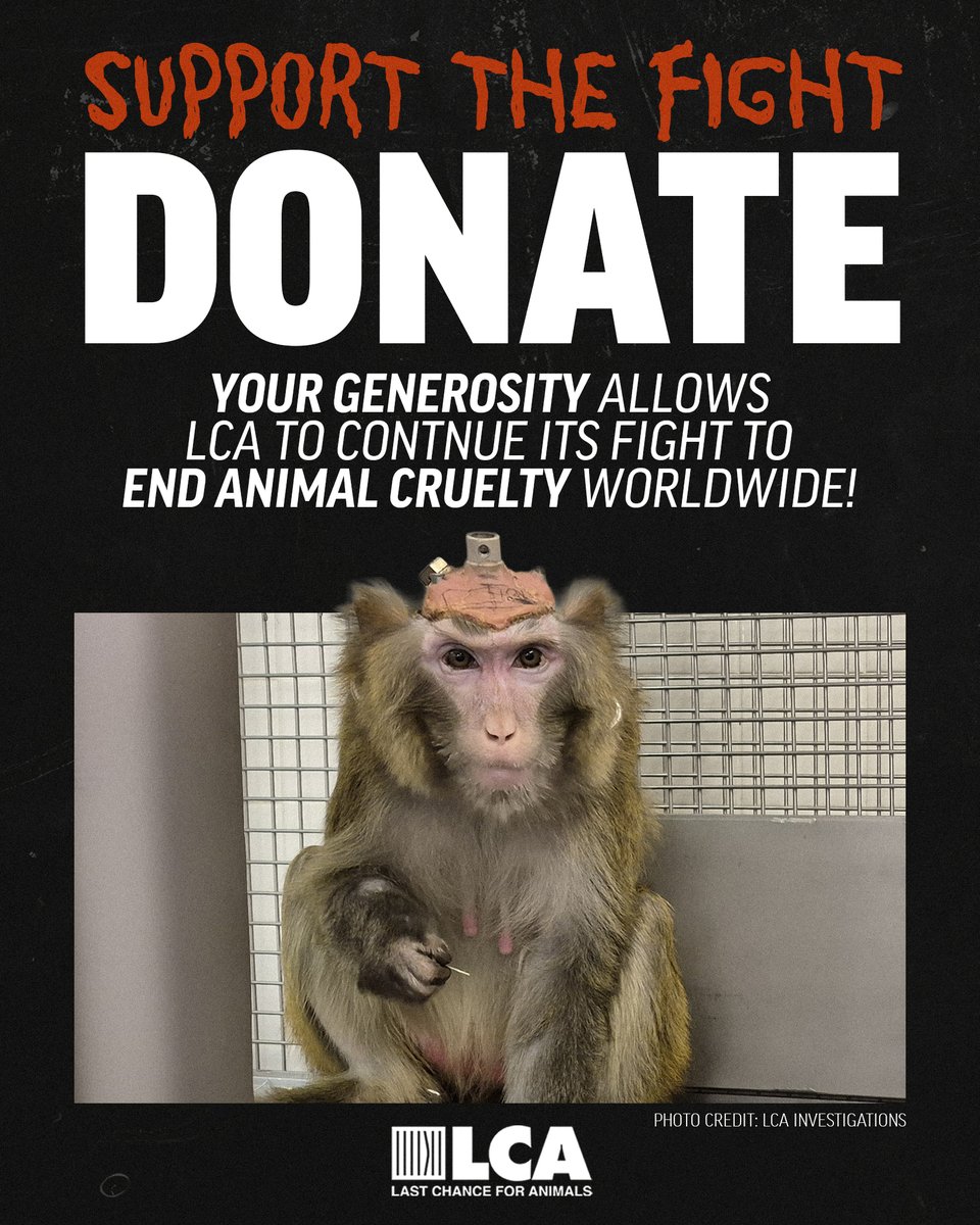 Last Chance for Animals tweet media