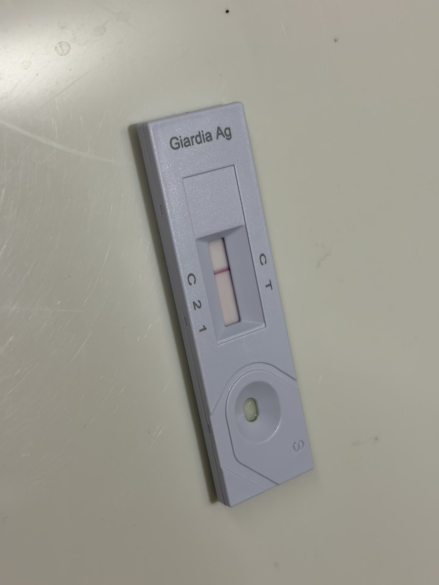 에리야(가족 찾는 볼트) tweet media