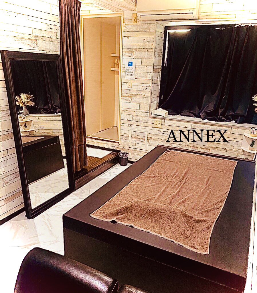 中央区高津 ANNEX DVD試写室 rental room tweet media