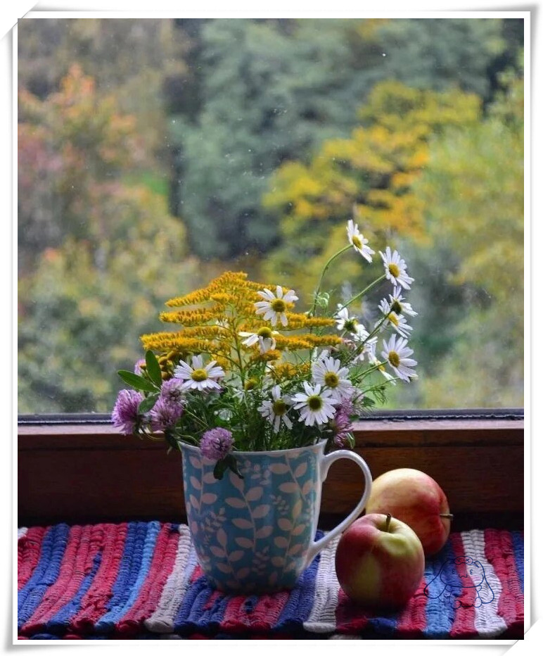 cucuneld's tweet photo. New to photography Start with these: natural light u003e harsh flash, hold your camera steady, and focus on one subject at a time. Small steps = big shots! https://t.co/1Bzik2Y2NE