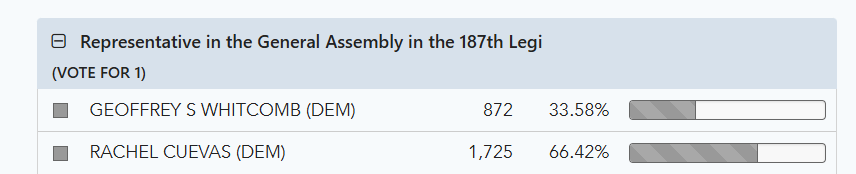 TShortell's tweet photo. @JasonAddy_LVN Rachel Cuevas has a commanding lead in the 187th District primary, but the night is still early. Partial results show her leading in every precinct in her district right now. https://t.co/xNPIVRlpzz