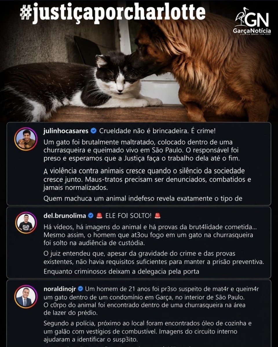 MACATS tweet media