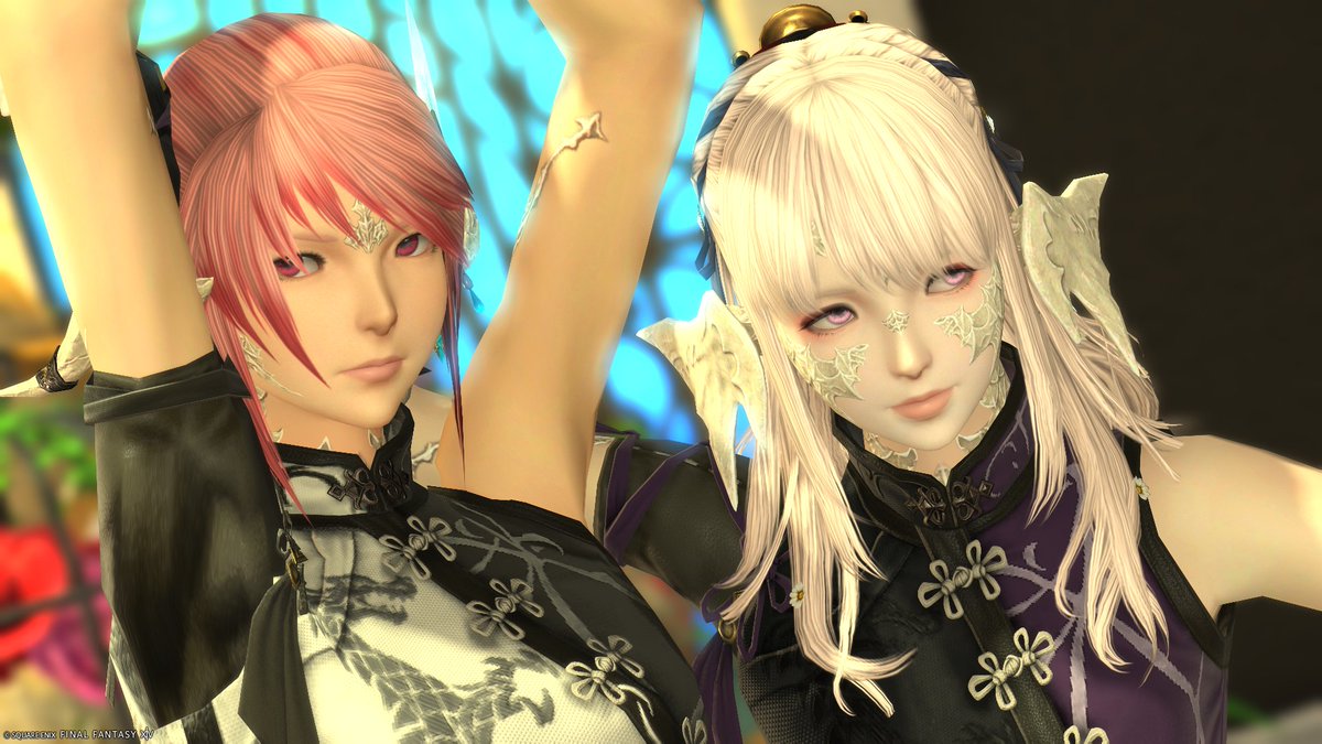 ヴィオラ🐉🐱 tweet media