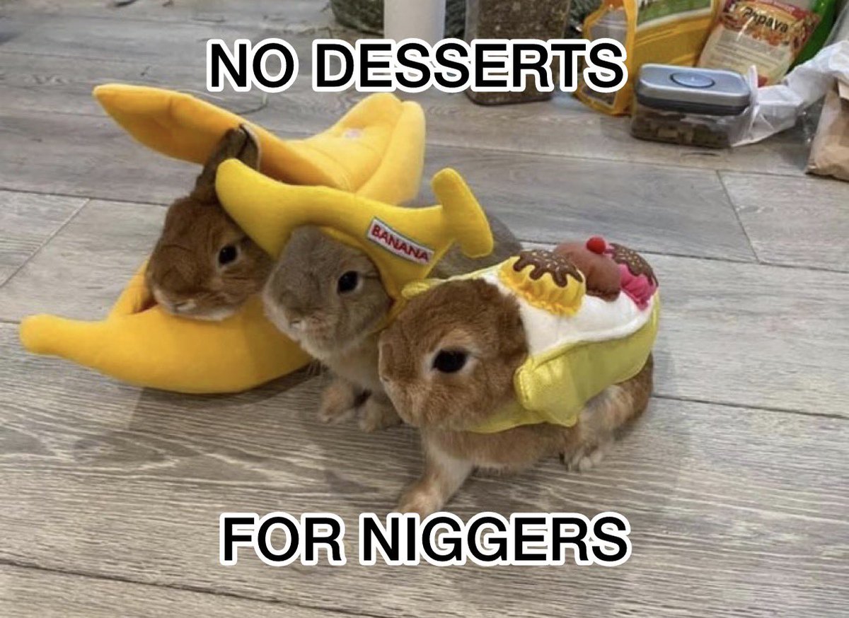 Bunnymaxxer tweet media