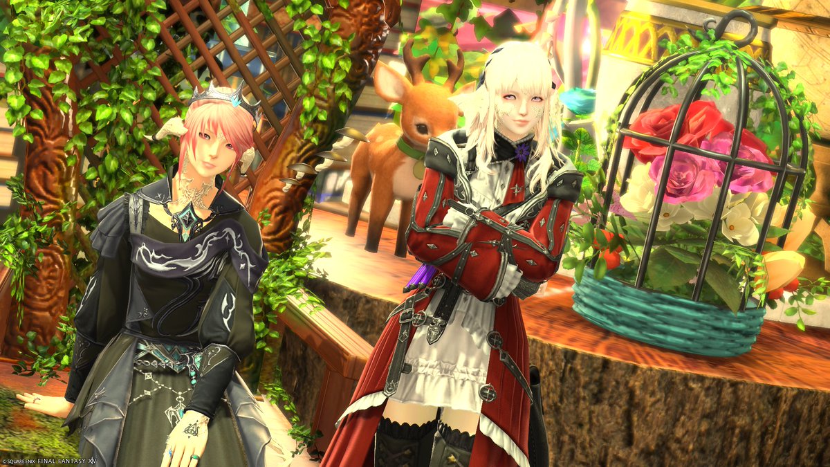 ヴィオラ🐉🐱 tweet media