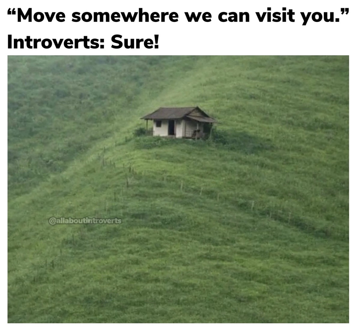All About Introverts tweet media