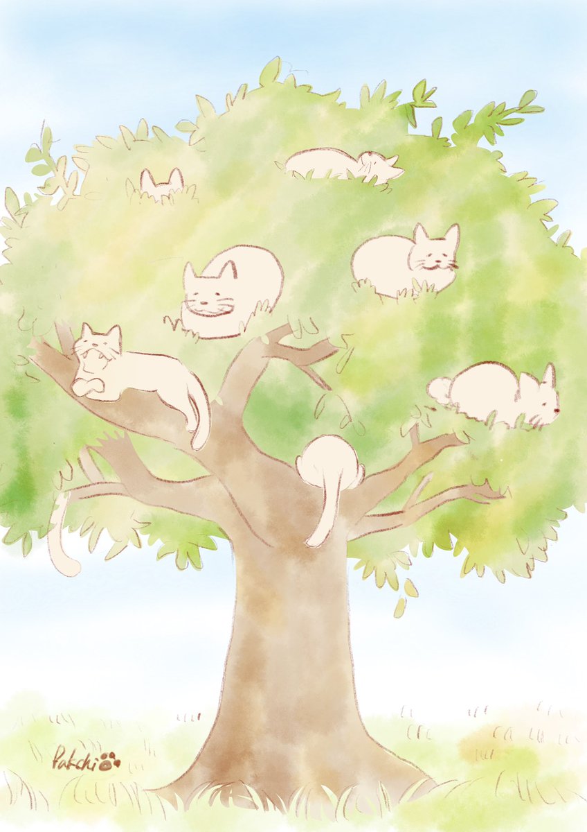 PaintPakchi's tweet photo. ねこのなる木 https://t.co/Gm01FIrGsv