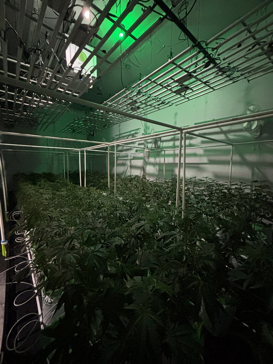 Saltbaggrows tweet media
