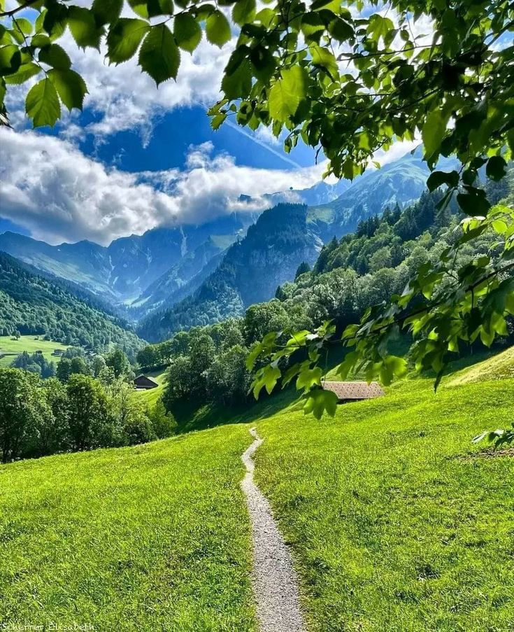 Nikol🌹💕🌹 tweet media