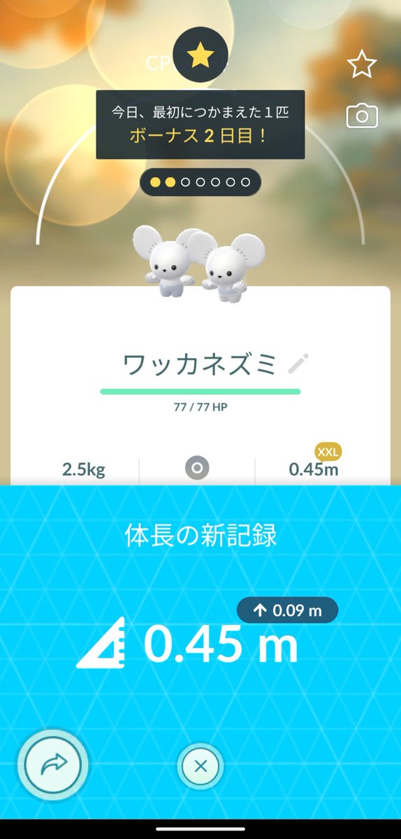 マイマイ tweet media