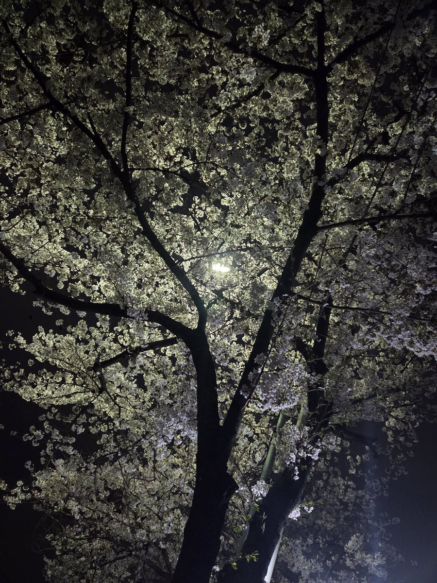 여태현 tweet media
