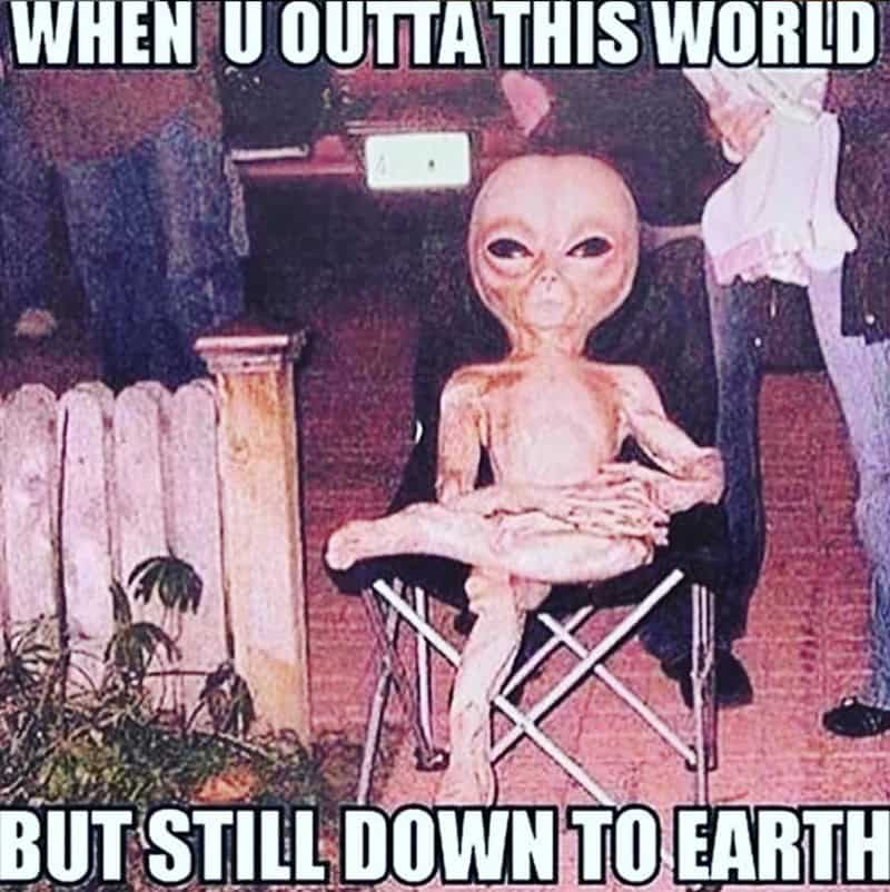 ALIEN tweet media