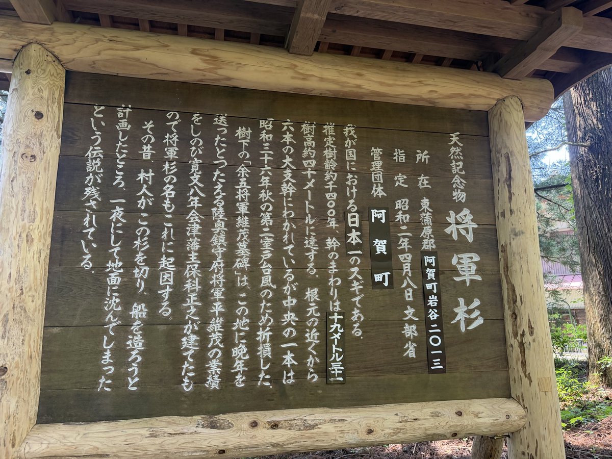 saranogohan's tweet photo. ライアフ友絶賛おすすめの将軍杉に来たわ。
見に来てよかったわ。教えてくれてありがとう。

#将軍杉　#熊出そうで少しビビった https://t.co/MJwzNazJBa
