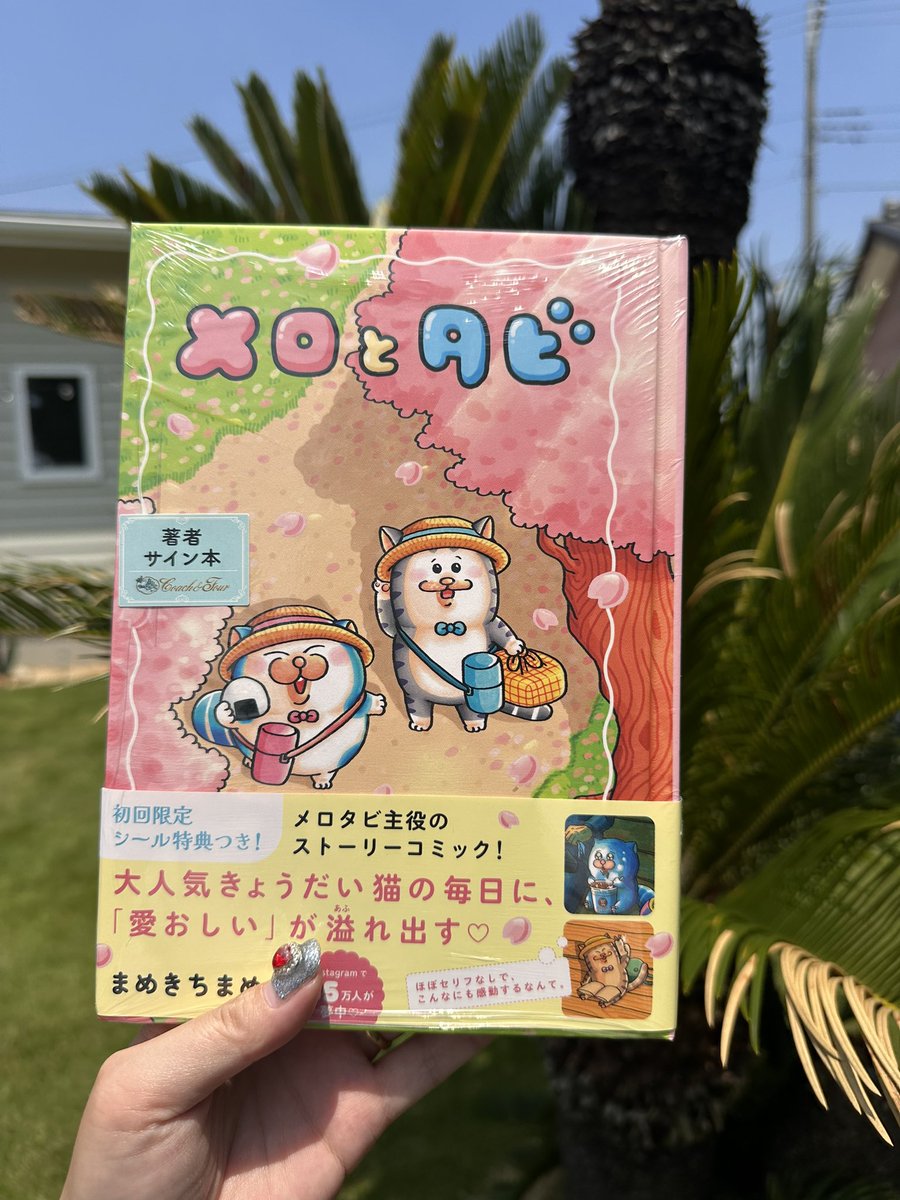 大福まんじゅうちゃん🍊 tweet media