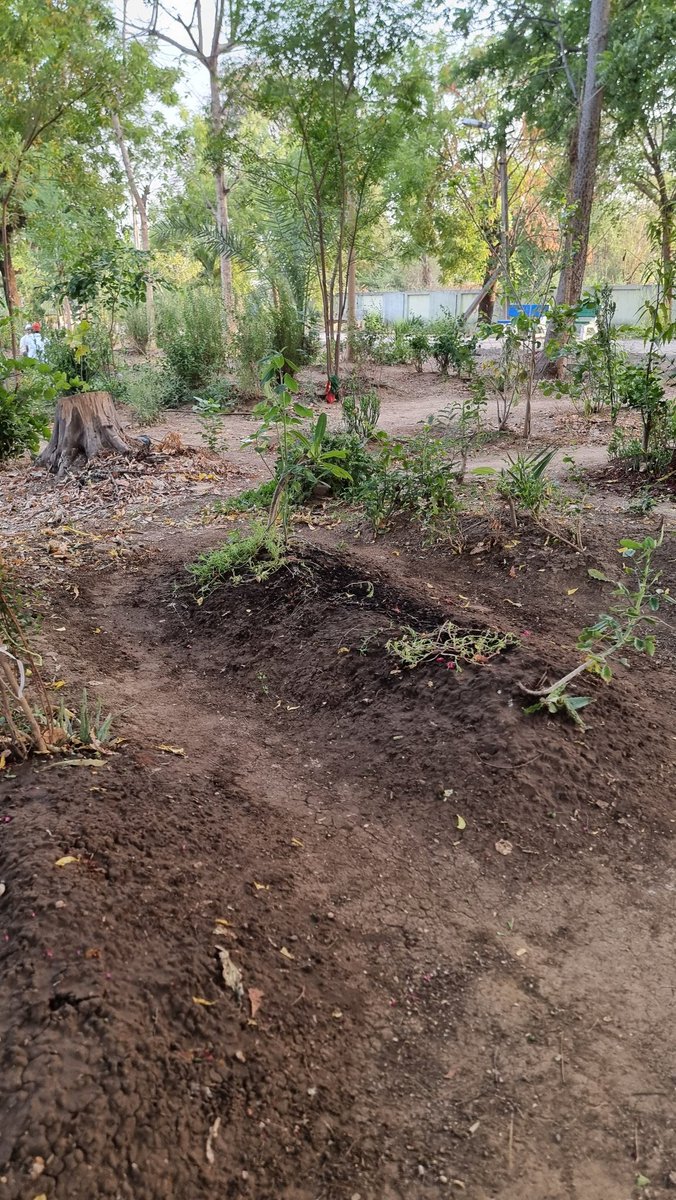 JunedYPatel's tweet photo. For those of us settled abroad, every time we return home, we realise some elderly people in the village, along with friends and family, have passed away. Their absence leaves a deep, heartbreaking void.

May Allah grant them Jannatul Firdaus and fill their graves with نور peace. https://t.co/gc5pgZMF5l