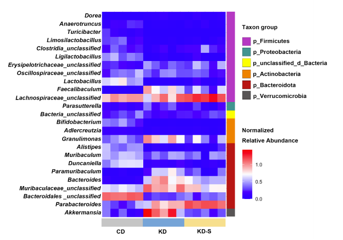 Phenomics_J's tweet photo. 🥑🧫 New Research on #KetogenicDiet #GutMicrobiota #BacterialGrowthRates 🦠🔬✨
Using CoPTR analysis, scientists reveal how KD alters gut bacterial growth dynamics – beyond just relative abundances! 🎯📈
Key Insights:
 ✅ #KetogenicDiet (high-fat, low-carb) alters gut microbiota composition & bacterial growth rates 📊
 ✅ Novel #CoPTR method measures in vivo growth rates – #Akkermansia muciniphila shows highest growth & abundance on KD 🚀🦠
 ✅ Discrepancies between growth rates & relative abundances reveal delayed responses in slow-growing bacteria (e.g., #Faecalibaculum rodentium) ⏳
 ✅ In vitro cultures confirm nutrient preferences: A. muciniphila thrives on soy oil but cannot grow on glucose ❌🍬
 ✅ Sudden starch intake after KD rapidly reverses metabolic state (↑glucose, ↓BHB) & alters microbial growth dynamics ⚡
📚Published by: Mi Tang, Zhidong Zhang, Liyuan Lin, Junling Niu, Guangxun Meng, Wei Wang, Jiwen Wang, Yingyan Wang
 📅 Published in: 2025
 📄 Full Study: https://t.co/FkPlt5RCOd
#KD #Microbiome #PTR #CoPTR #Akkermansia #Epilepsy #Metagenomics #GutHealth #BacterialGrowth #PrecisionNutrition #StarchEffect 🚀