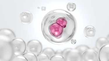 Creativepeptide's tweet photo. Support peptide R&amp;D with Creative Peptides’ pharmaceutical peptides services. We provide research-focused capabilities spanning lead discovery, high-throughput screening, design optimization &amp;  purification workflows.
🔗https://t.co/TBDnMc6fc2
#PharmaceuticalPeptides #Peptides https://t.co/hqYRF3XsYI