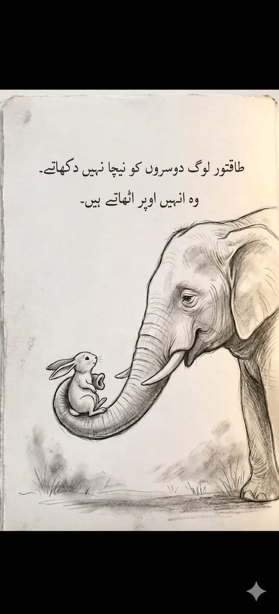 shokat ali tweet media