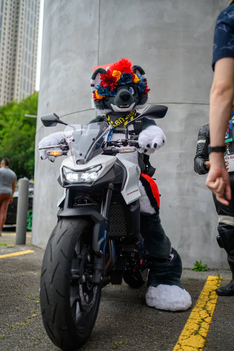 Kyle 🔜 MP tweet media