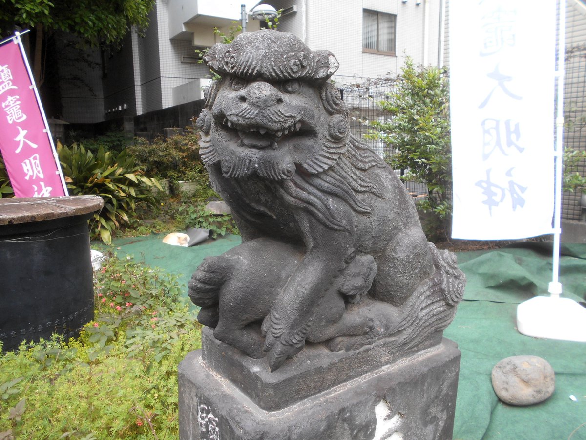 東京お散歩教室（小島信康） tweet media
