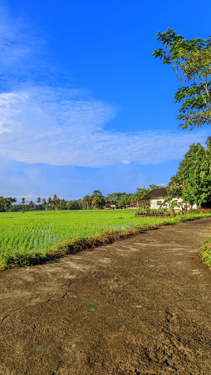 jejakrasa27's tweet photo. Kadang yang bikin sebuah pertemanan selesai itu bukan karena ada yang jahat.
Tapi karena dua orang yang dulu cocok, sekarang udah punya cara pandang hidup yang berbeda.
Dan semakin dewasa, kita mulai sadar kalau mempertahankan hubungan juga ada batasnya.
Apalagi kalau tiap ngobrol malah bikin capek, gak nyaman, atau kehilangan ketenangan diri sendiri.