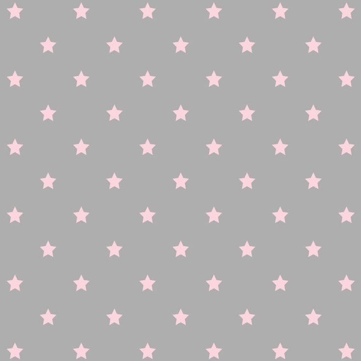 𑣲⋆ tweet media
