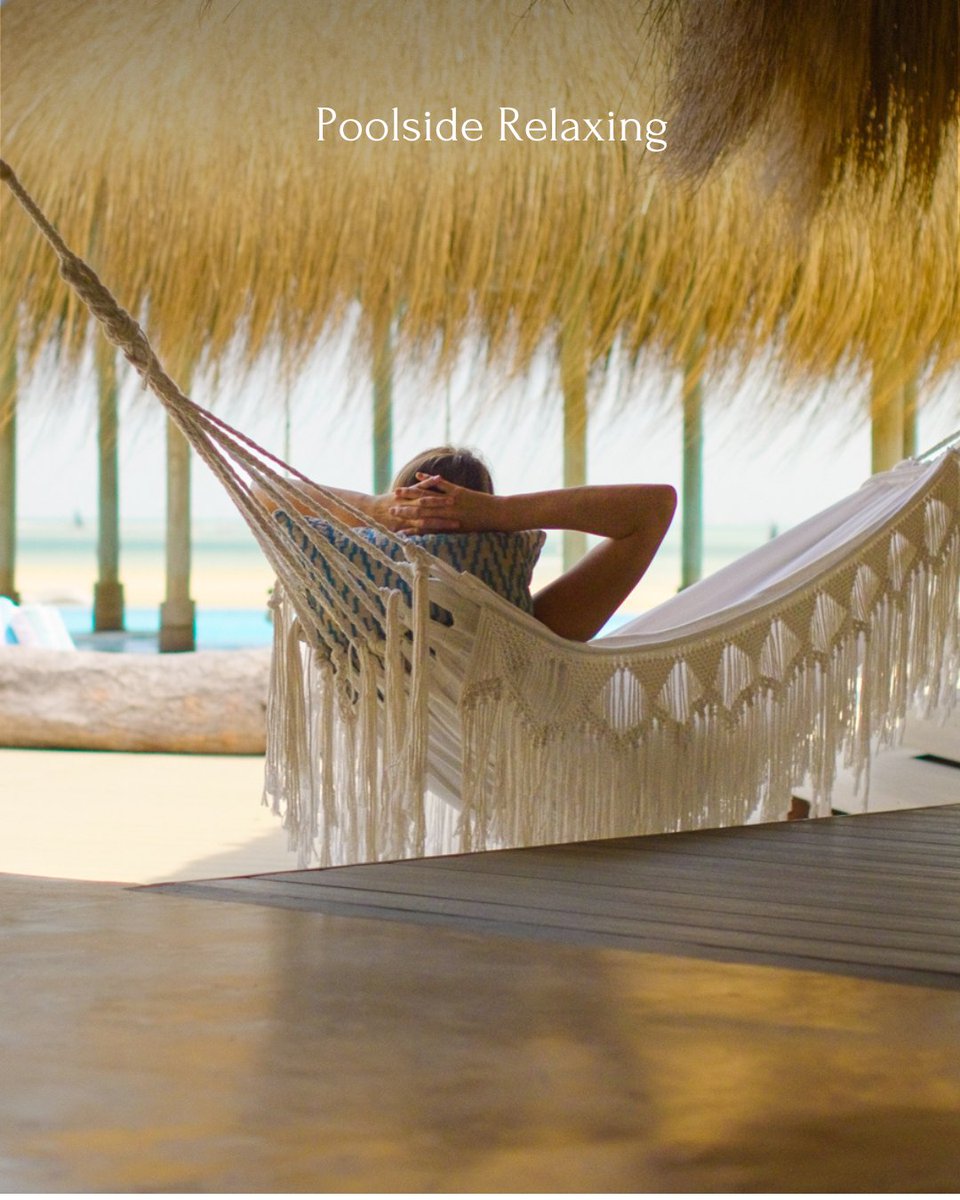 PambeleMoz's tweet photo. What is your favourite sea holiday activity?

With all activities included in your stay, Pambele offers you the luxury to create your perfect day, every day.

𝐁𝐨𝐨𝐤 𝐲𝐨𝐮𝐫 𝐞𝐬𝐜𝐚𝐩𝐞:
https://t.co/dgKN42xBRb https://t.co/QJv3gUJx7P