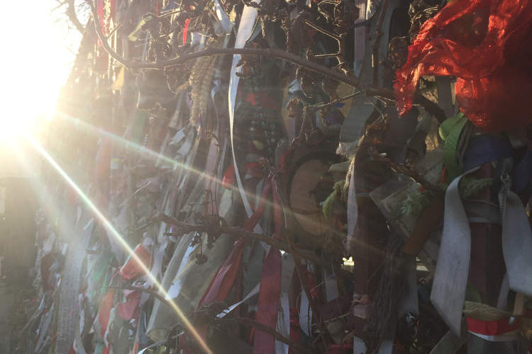 StAndGradSchool's tweet photo. Gender Studies MLitt alumna Kathryn Herschell previewed their film Crossbones: ethnography and gender in the graveyard of the outcast dead ahead of presenting at the Twenty Seventh Cemeteries Colloquium 🎞️🌿 https://t.co/MZhbWX7R2h