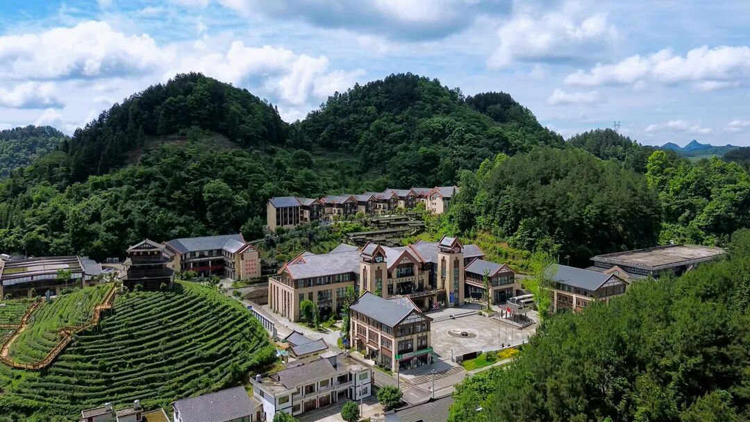 InZunyi's tweet photo. 🌳Green is the new luxury! Zunyi's Fenggang county is rewriting the travel playbook by blending tea gardens with eco-tourism.

It's no longer just about sightseeing – it's about tasting the good life and finding your inner peace. https://t.co/0BQA1j001R