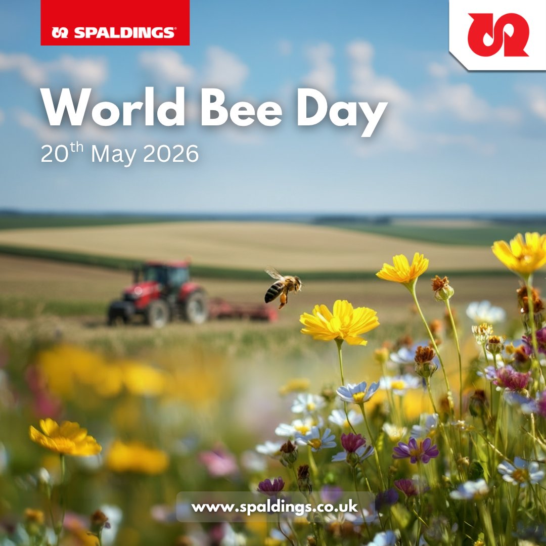 Spaldings's tweet photo. 🌼🐝 Happy #WorldBeeDay 🐝🌼
At Spaldings, we know farming relies on more than machinery—bees power pollination, biodiversity &amp; better yields 🌾
Great to see farmers supporting pollinators with wildflower margins &amp; mindful practices 💛
🚜 Proud to support British agriculture 🇬🇧 https://t.co/EiTkHk2sFh