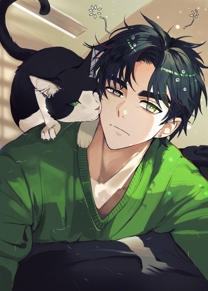 🐾냥구구 tweet media