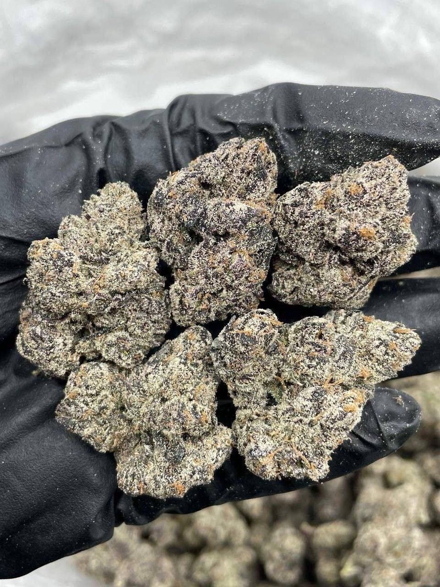 Paisleyplug's tweet photo. Weed Causewayhead, Weed Perth City Centre, Weed Scone, Weed Letham, Weed North Muirton, Weed Craigie, Weed Ayr Seafront, Weed Prestwick, Weed Alloway, Weed Troon Harbour, Weed Saltcoats, Weed Ardrossan, Weed Irvine Beach Park, Weed Kilmarnock Town Centre, Weed Bellfield https://t.co/7Q8jcjtpIF