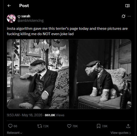 Morph tweet media